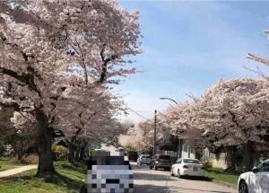 convenient to live and travel（A）separate entrance - Richmond