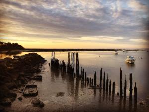 Maisons de vacances Cocon entre presqu'ile du Cap Ferret et plages oceanes - terrasse - 1 velo gratuit : photos des chambres
