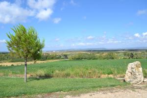 Fattoria La Traccia img7