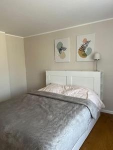 Ģimenes māja Jaunpilī