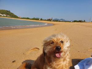 Casa 2 quarto Guarapari Santa Mônicasetiba 3 vaga