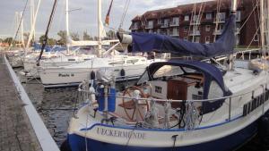 FEWO-bis-2-Pers-inmitten-den-Yachthafens-Ueckermuende-Stettiner-Haff-Ostsee
