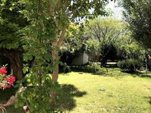 Maison de caractère avec jardin arboré en Avignon