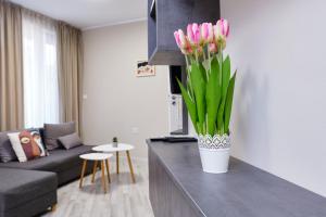 Cozy 1-bed Apartment 2