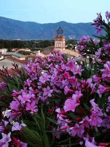 Maisons de vacances CASA ROSA, Un petit Cocon Catalan : photos des chambres