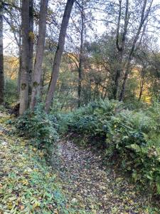 Domaine du Bonsoy--Azur