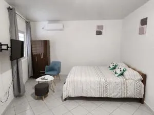 Résidence DENGUELE Studio - 马罗尼河畔圣洛朗