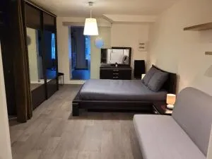 Domaine la Sapinière - 弗雷曼