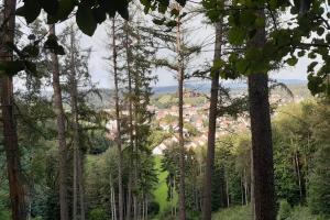 Maisons de vacances Gite du Verre au Sabot avec spa privatif : photos des chambres