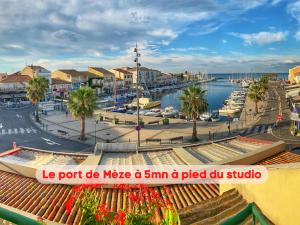 Appartements Charmant studio climatise a 200m de la plage : photos des chambres