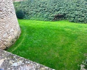B&B / Chambres d'hotes Chateau de Belet : Suite Lit Queen-Size Deluxe