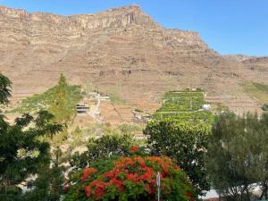 Cycling Holiday, 11 km from Arguineguín