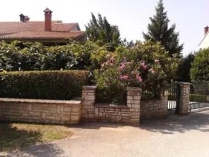 Apartment Slavica Vrvari - Vrvari
