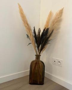 Appartements L’Amistouso : photos des chambres