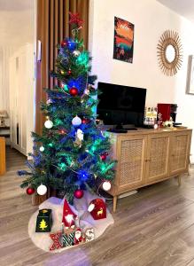 Appartements Appartement cosy Centre station de Super Besse pour 2 a 6 personnes : photos des chambres