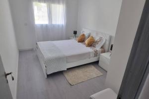 Apartamento Palomar