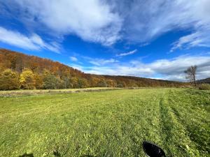 Domki nad Stawem Uherce