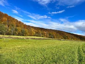 Domki nad Stawem Uherce