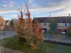 Homely, Cosy & Contemporary 4 BDR house with Garden & Parking 5 mins drive to Addenbrookes & Papworth hospitals & Bio Medical campus