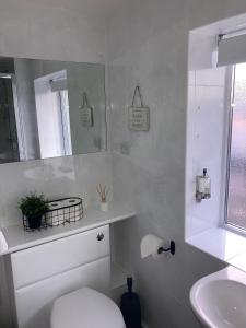 Blue Ball Inn, Sandygate, Exeter