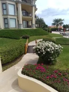 delfines 204 - El Tule