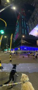 Bogotá Apartamento en Torre Barcelona Ve Monserrate lado the Spotty