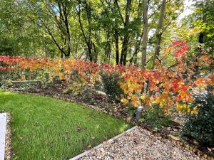 LivIn Garden I Boutique Apartment I Szentendre