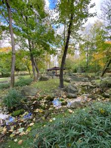 LivIn Garden I Boutique Apartment I Szentendre