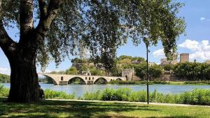 Appartements Appart Villa Magnolia Villeneuve les Avignon - Provence : photos des chambres