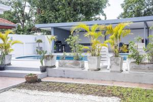 6 Bedroom Tropical Oasis with Pool & Jacuzzi V6