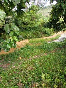 Azli homestay