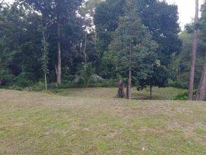 Azli homestay