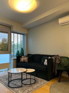 New Apartment,free parking in the Center