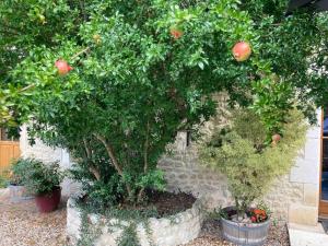Maisons de vacances Stunning rural gem with pool in southwest France : photos des chambres