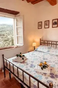 Sogno - Villa Cenami - grande PISCINA con vista - Stiava