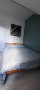 Maisons de vacances Maison de charme a Rouen Max 10 personnes : photos des chambres