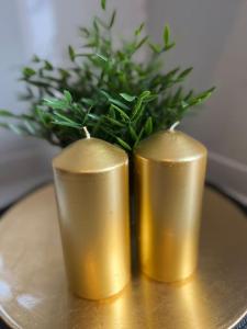 Camelia 1 Brand new with terrass on Cleopatra