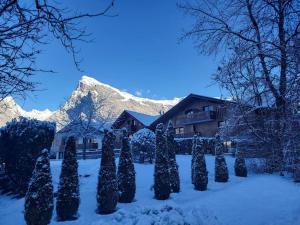 A12, 3 bedroom apartment next to the ski lift