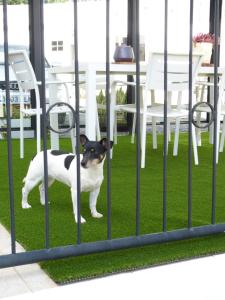 Villa Alto Arena piscina privada climatizada