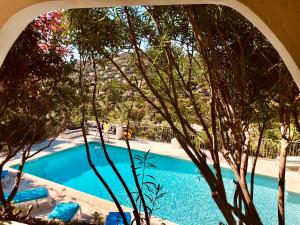 B&B / Chambres d'hotes Villa Hirondelles 35 : photos des chambres