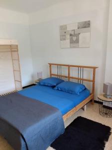 Spacieuse villa avec jardin a deux pas du centre