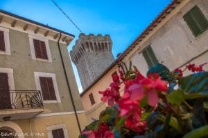 Appartement avec Balcon
