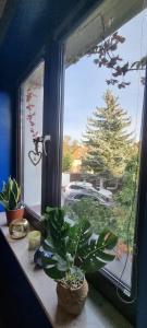 Emerald Spa Guest house