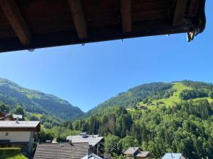 Appartements Appartement spacieux et confortable, 11 personnes, 4 chambres, 1 garage - ROCHE02 : photos des chambres