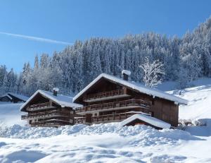 Appartements Appartement confortable, 4 personnes, 1 chambre, 1 coin montagne - ALPINA03 : photos des chambres