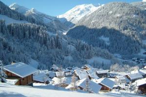 Appartements Appartement cosy, 5 personnes, 1 chambre, 1 coin montagne - ECRINI06 : photos des chambres