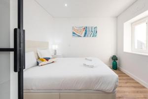 Cozy Studio-Fast Wi-Fi-Near Campanhã Station & River