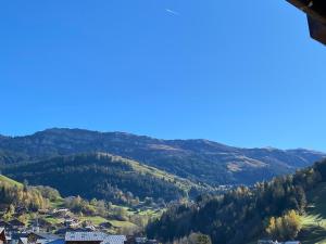 Appartements Appartement chaleureux, 4 personnes, 1 chambre, 1 coin montagne - MONTA11 : photos des chambres