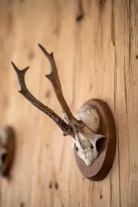 bergfried - Designwohnung mit Weitblick - Medraz