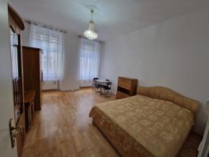 Central City Apartment